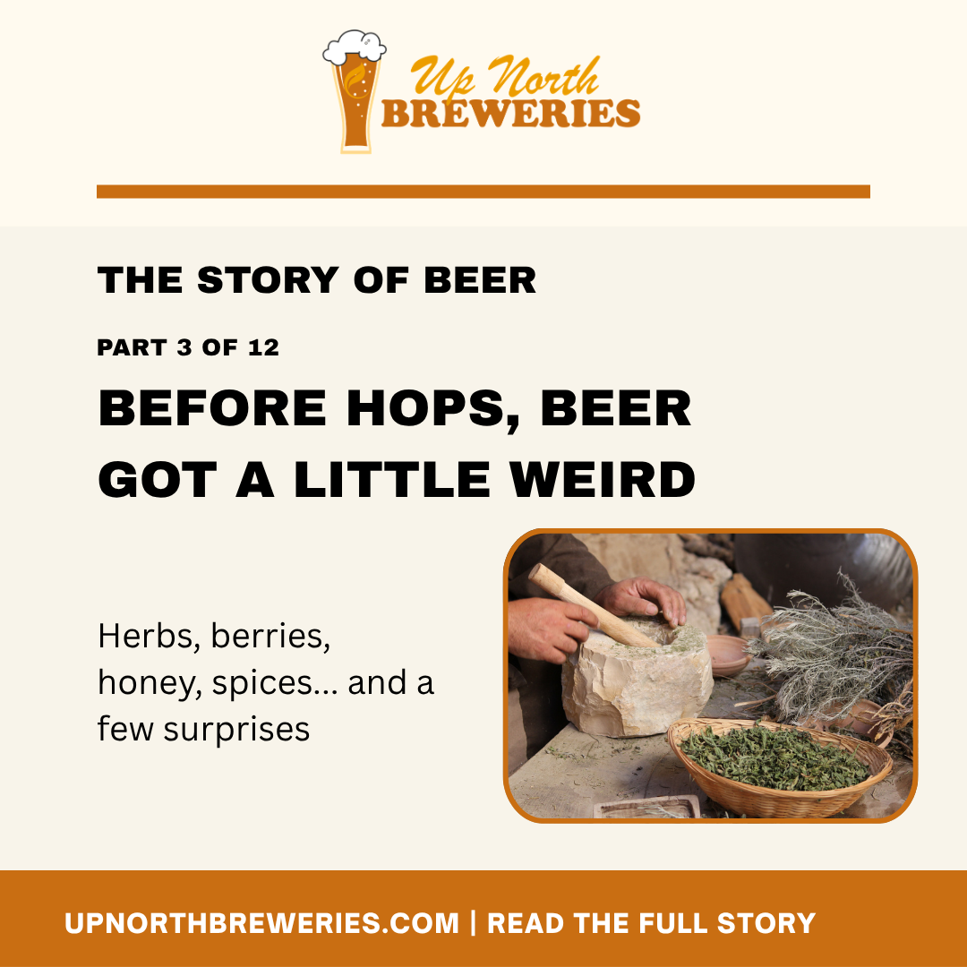 What did brewers use before hops? Discover gruit, herbs, fruits, spices, and some surprising ingredients from beer's early history.