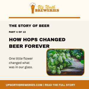 Learn how hops transformed beer by adding bitterness, aroma, flavor, and preservation, eventually becoming an essential brewing ingredient.